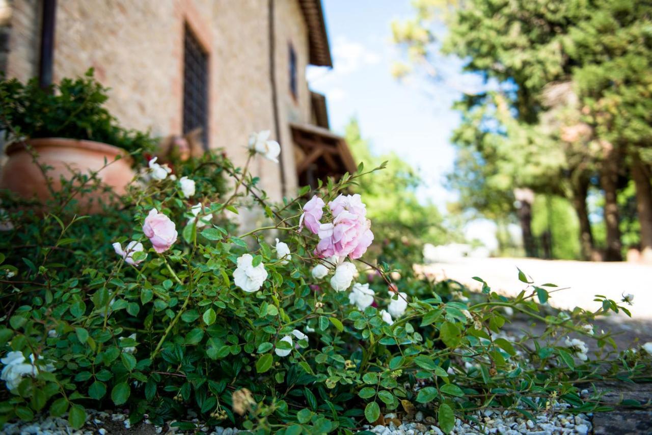 Villamena Assisi Exteriör bild